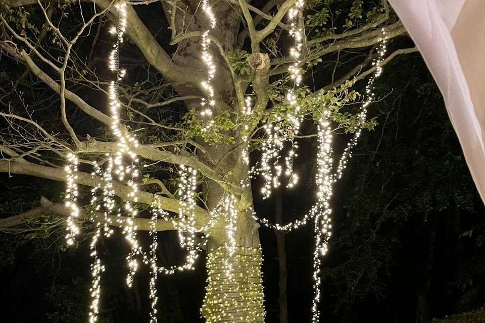 Illuminazione Taglio torta