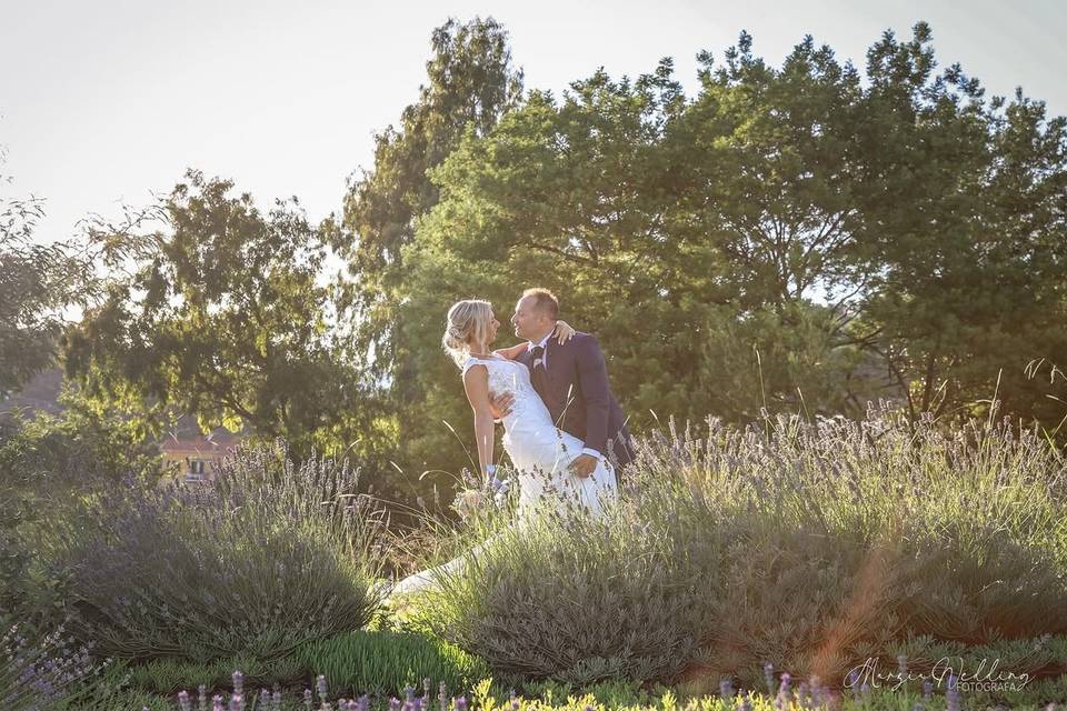 Wedding Photo
