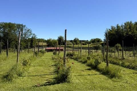 Frutteto
