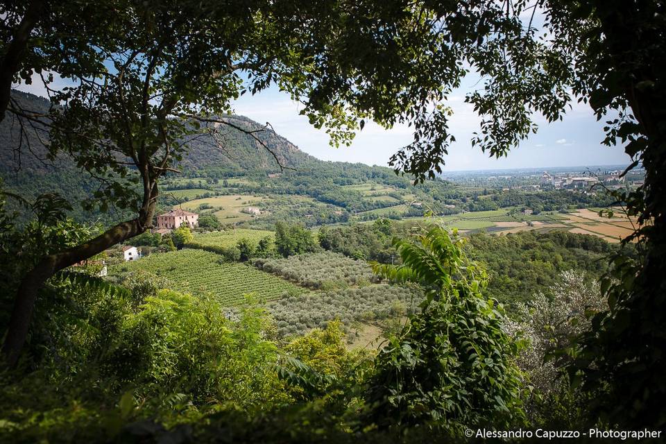 Ristorante La Montanella