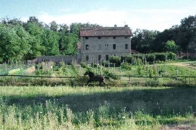 Agriturismo Brusignone