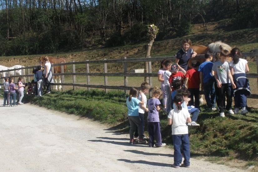 Attività didattiche