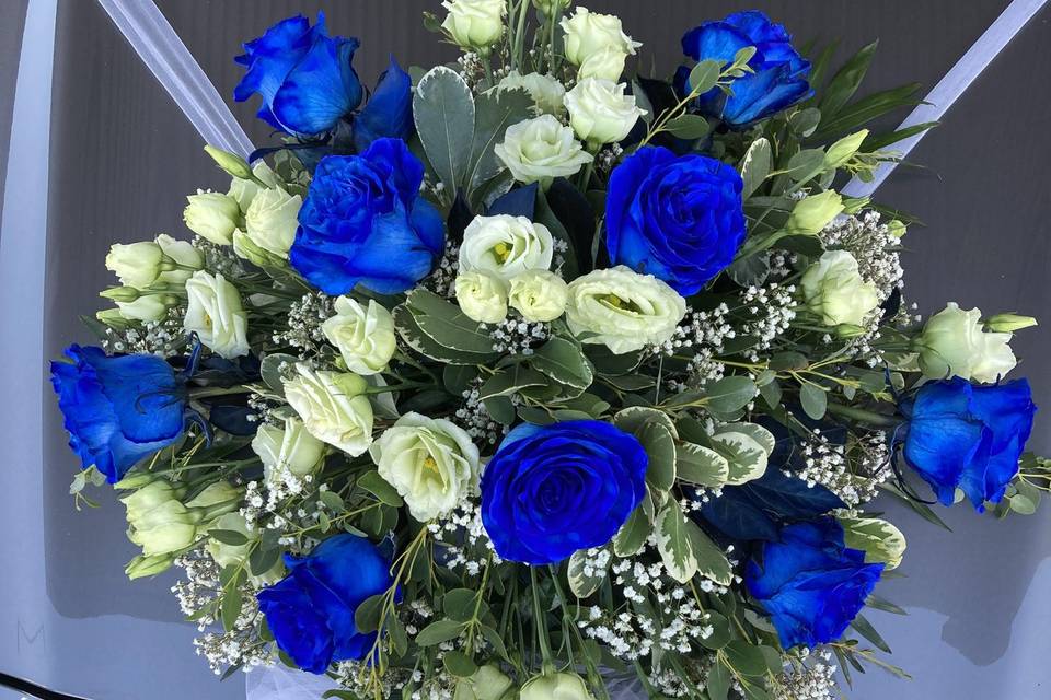 Rose blu