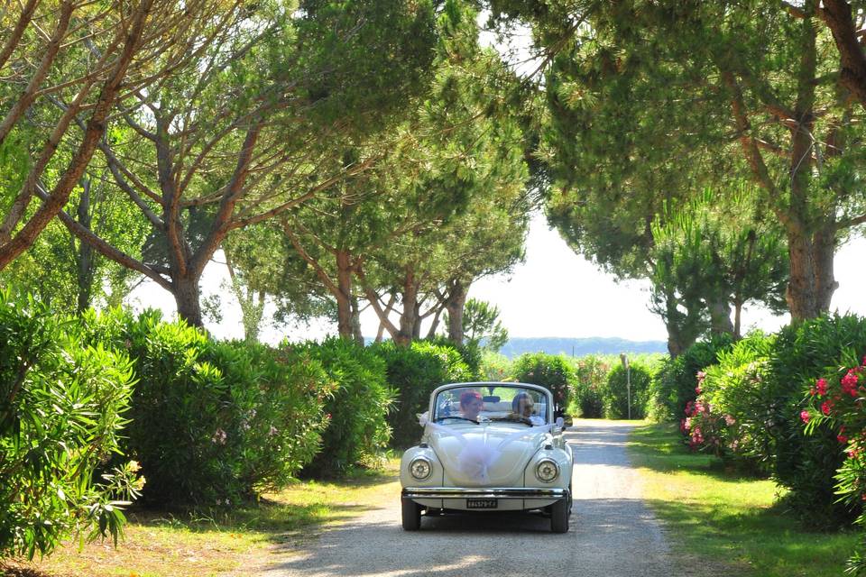 Agriturismo Villa Toscana