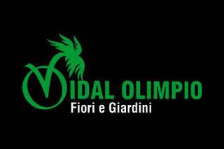 Vidal Olimpio logo