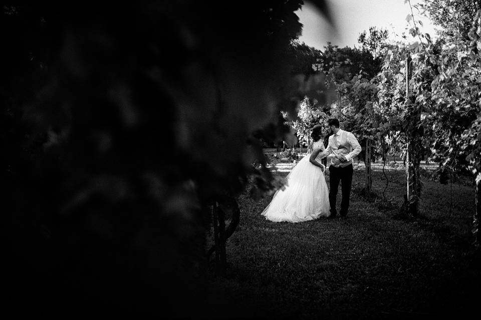 Francesco Melchionda Fotografo