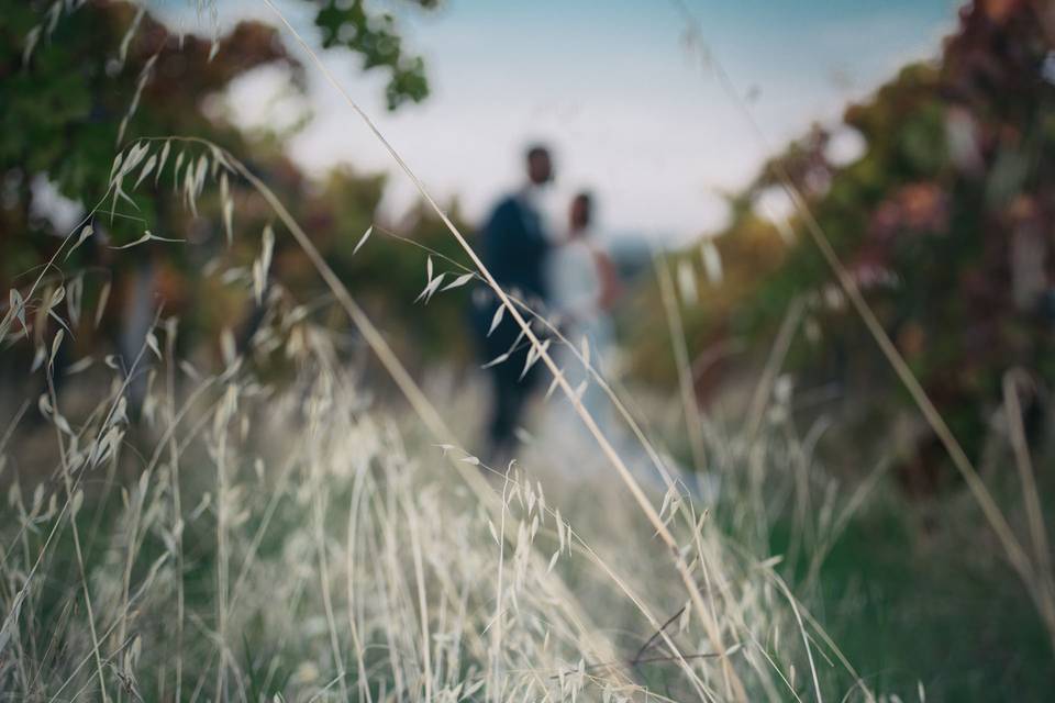 Francesco Melchionda Fotografo