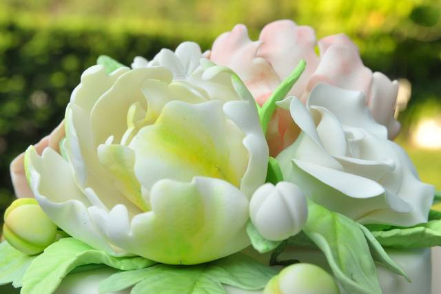 Fiori di zucchero