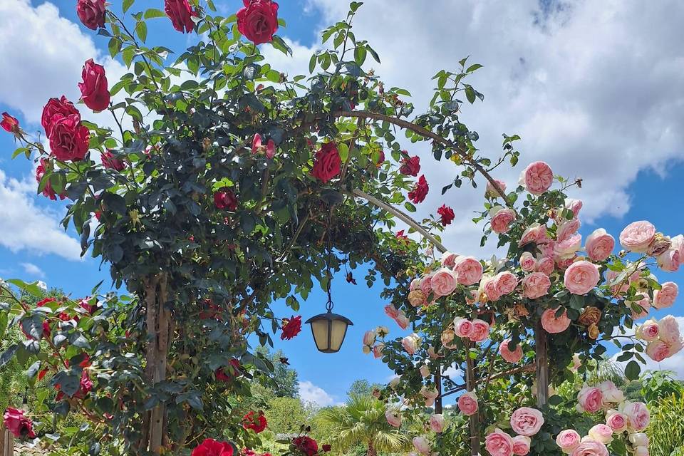 Giardino