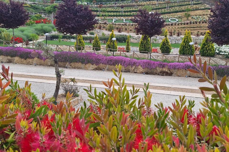 Giardino