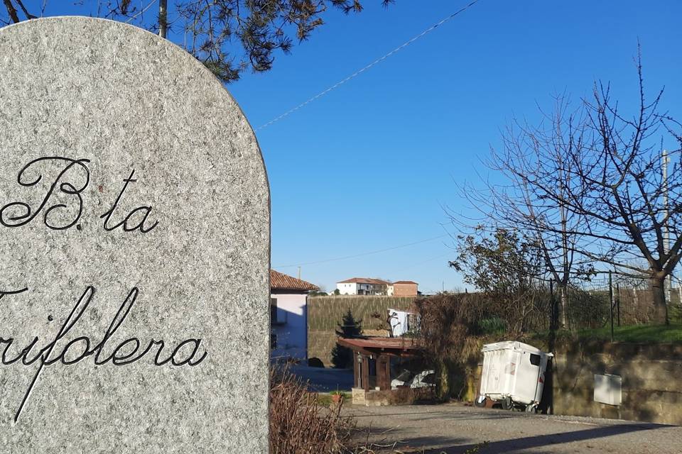 Ca Trifolera Barbaresco vista