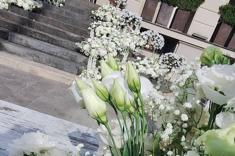 Lisianthus..