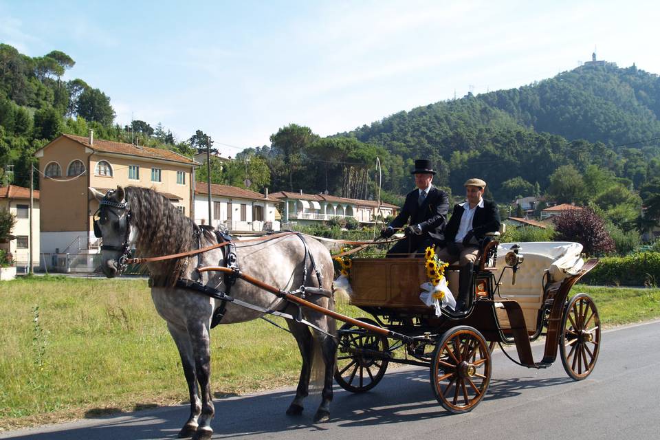 Matrimonio in Carrozza