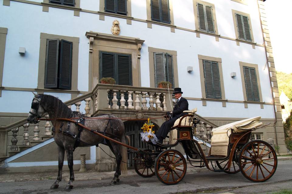 Matrimonio in Carrozza