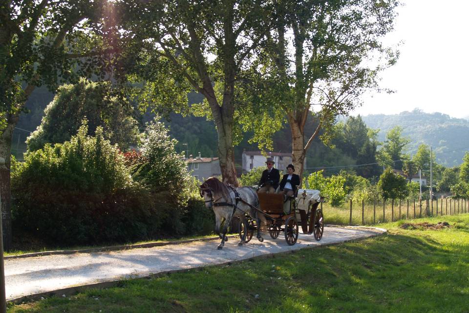 Matrimonio in Carrozza