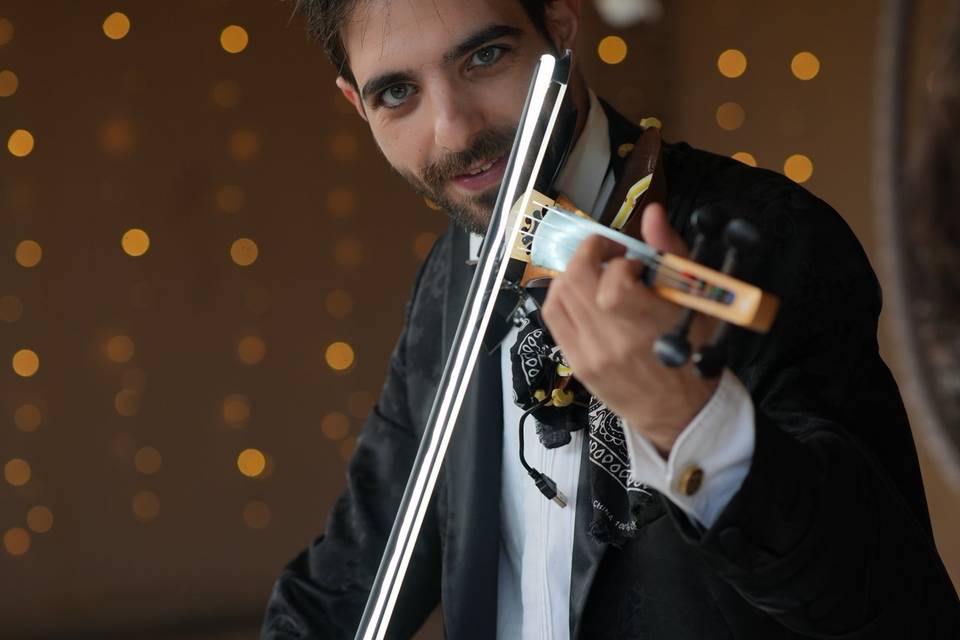 Violin