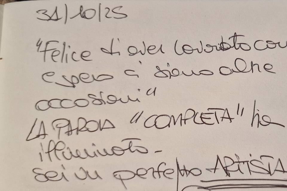 Quello che gli ospiti scrivono