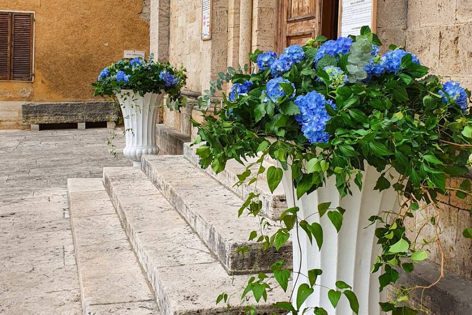 Coppa con ortensie