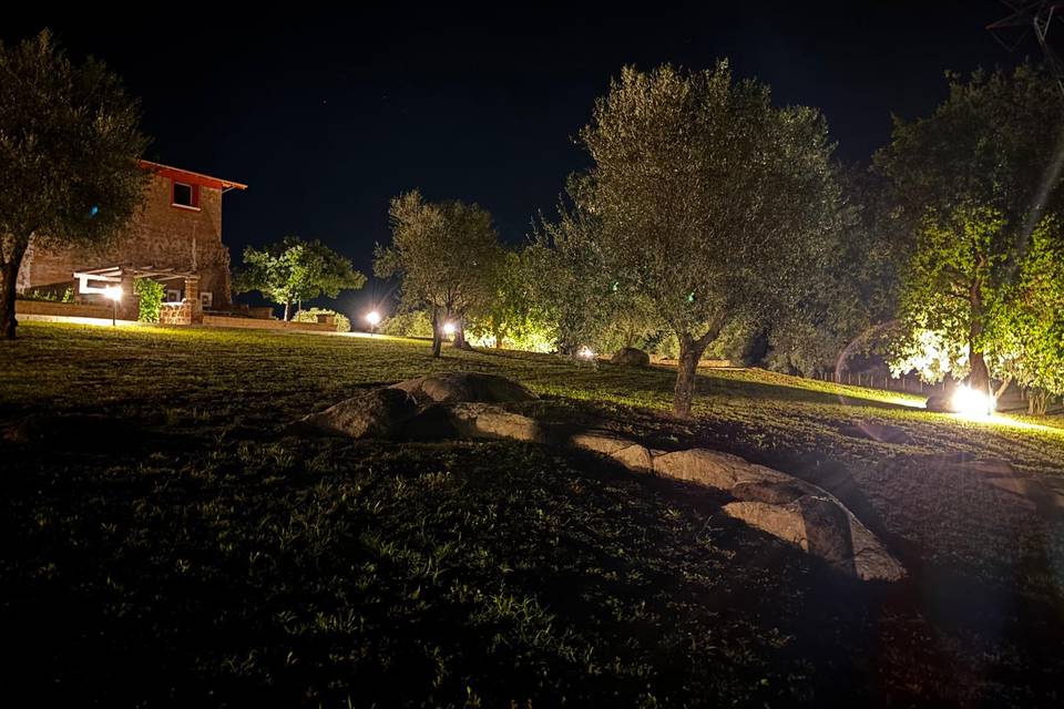 Giardino di notte