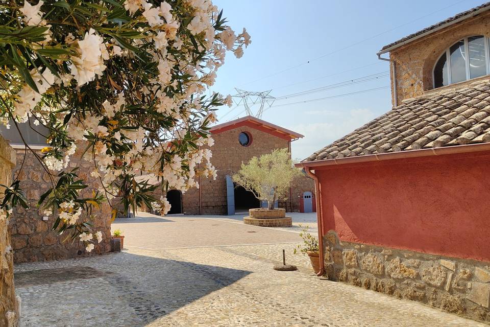 Scorcio
