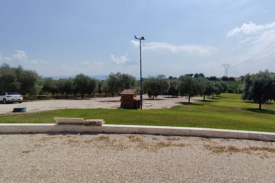 Vista