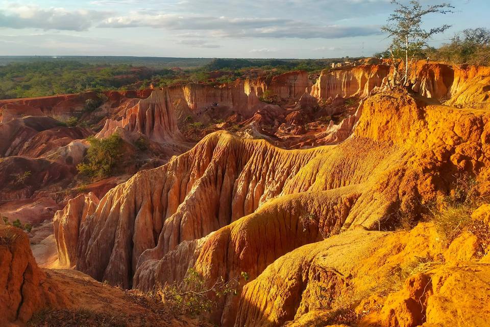 Canyon
