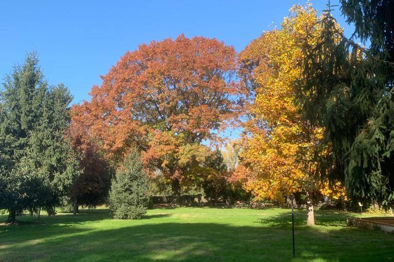 Location Parco d'autunno