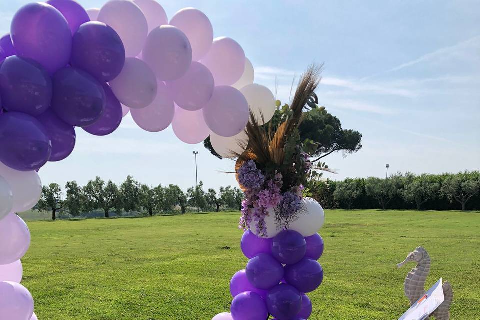 Tonigar Cerimoniere - Celebrante Matrimonio Civile