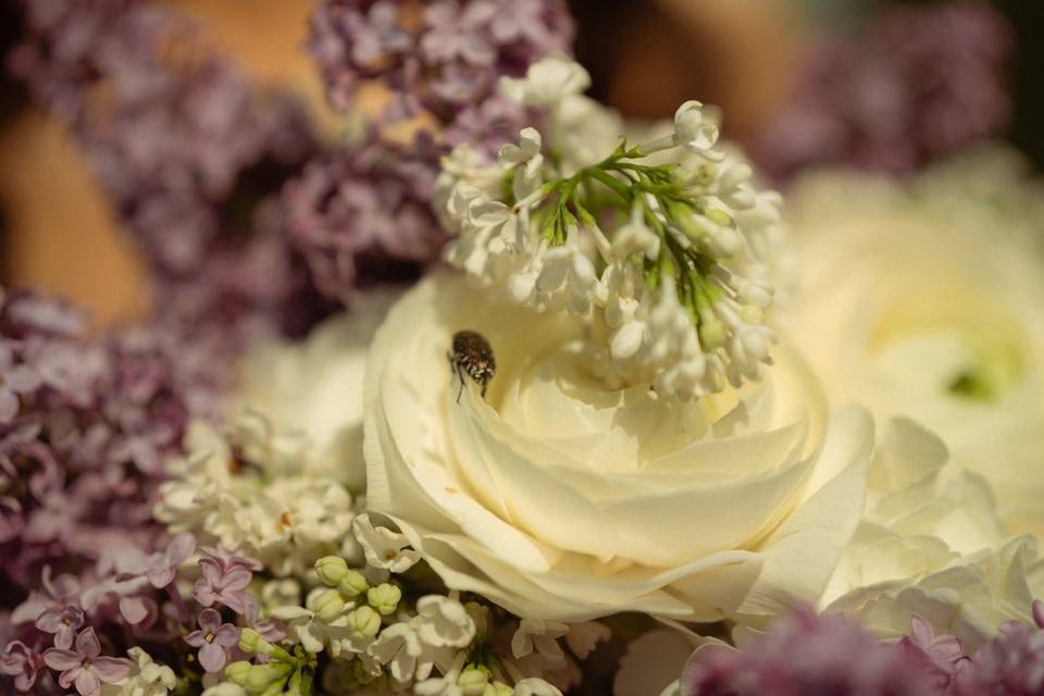 Elopement