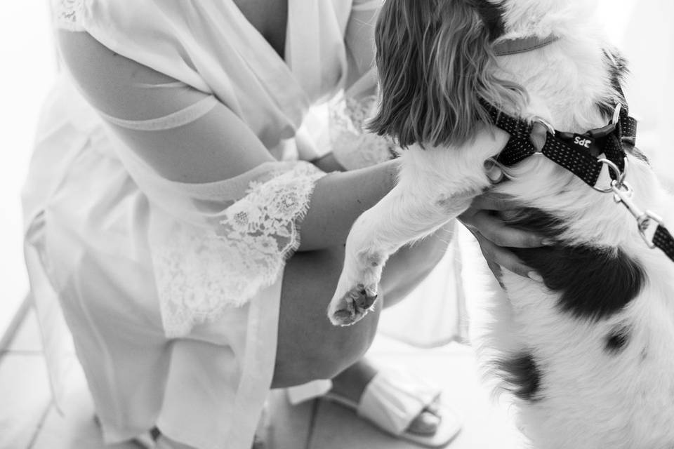 A&C Ph Francesca Camboni