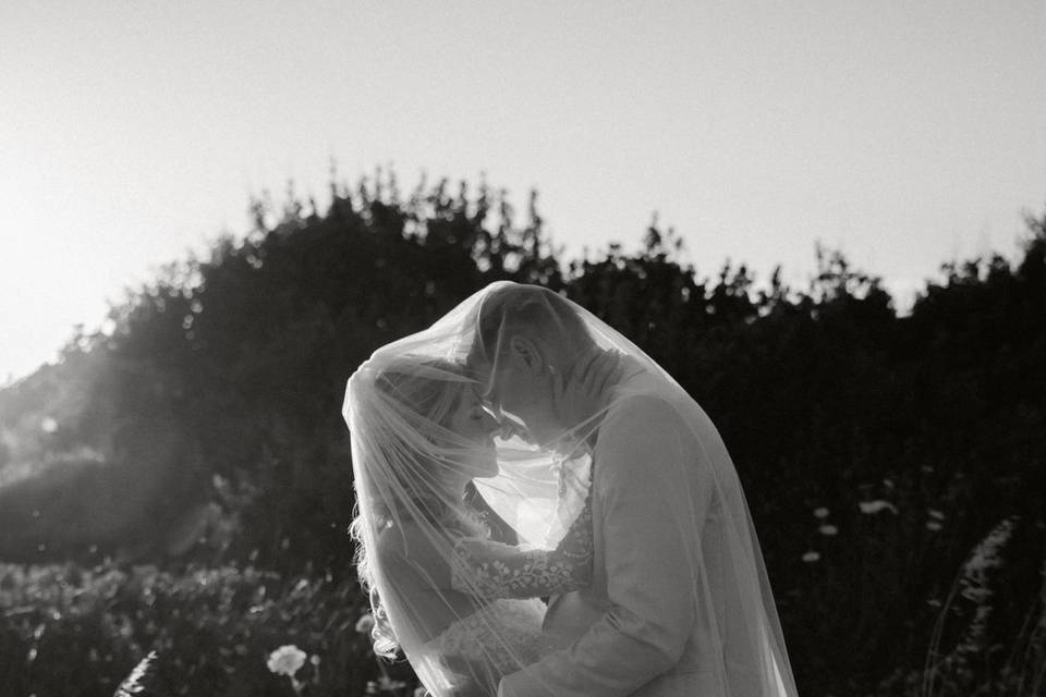 H+A Ph Jana Stening