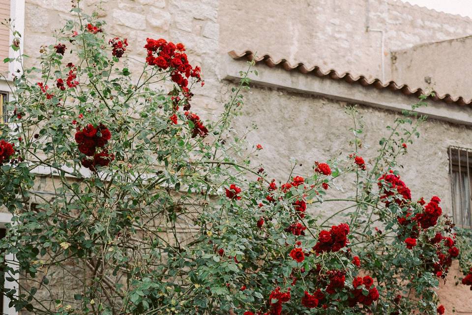 A&E Ph Matteo Azara