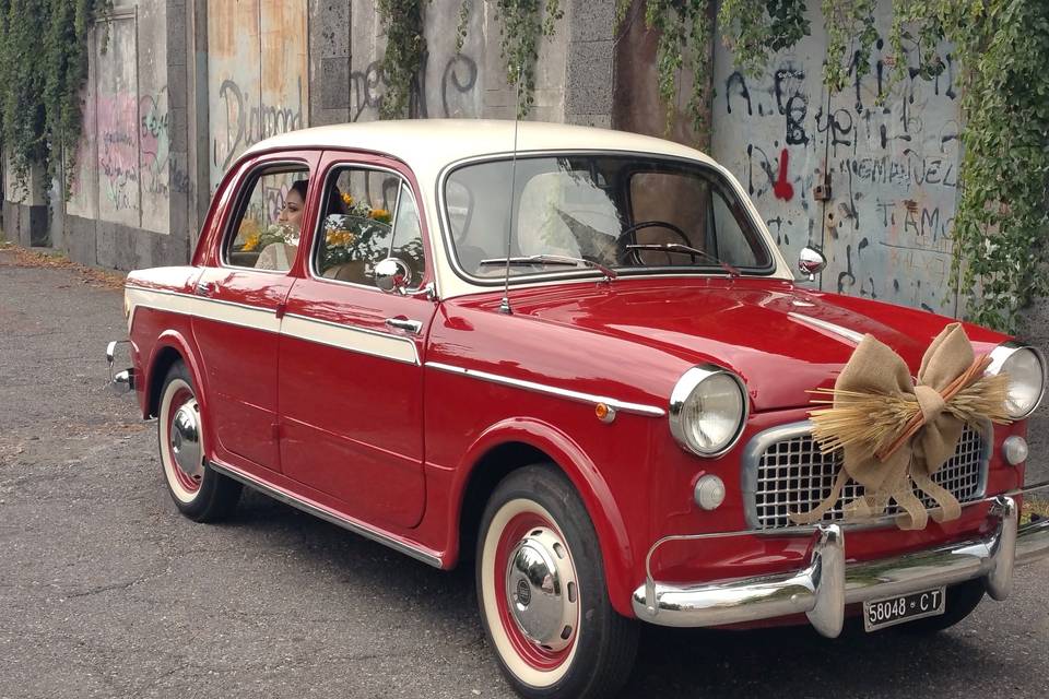 Fiat 1100 tipo lusso ('59)