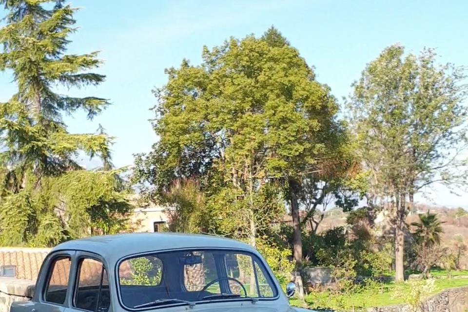 Fiat 1100 ecport bianca