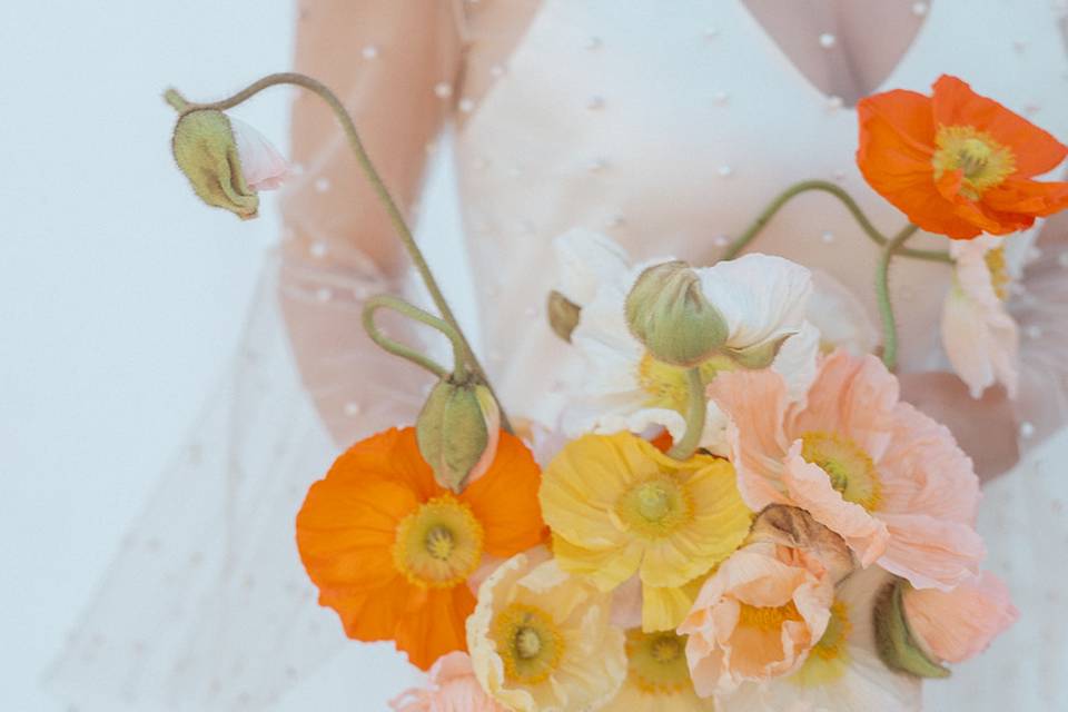 Poppies