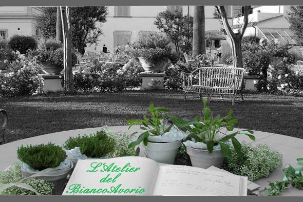 Atelier del Bianco Avorio