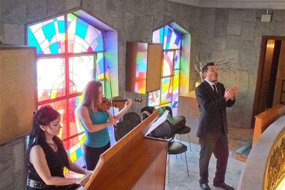 Violino, Organo e voce