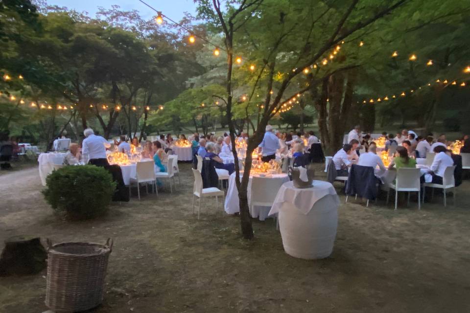 La cena nel parco