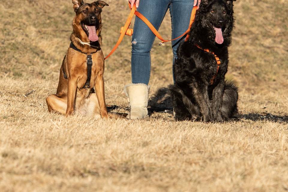 Cristina con i suoi due cani