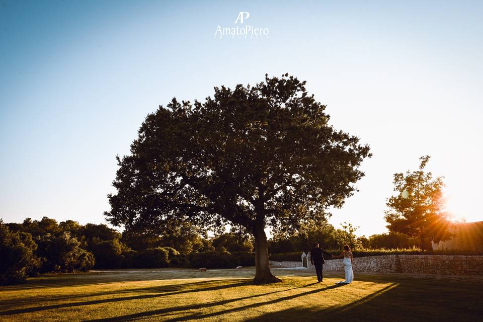 Amato fotografia