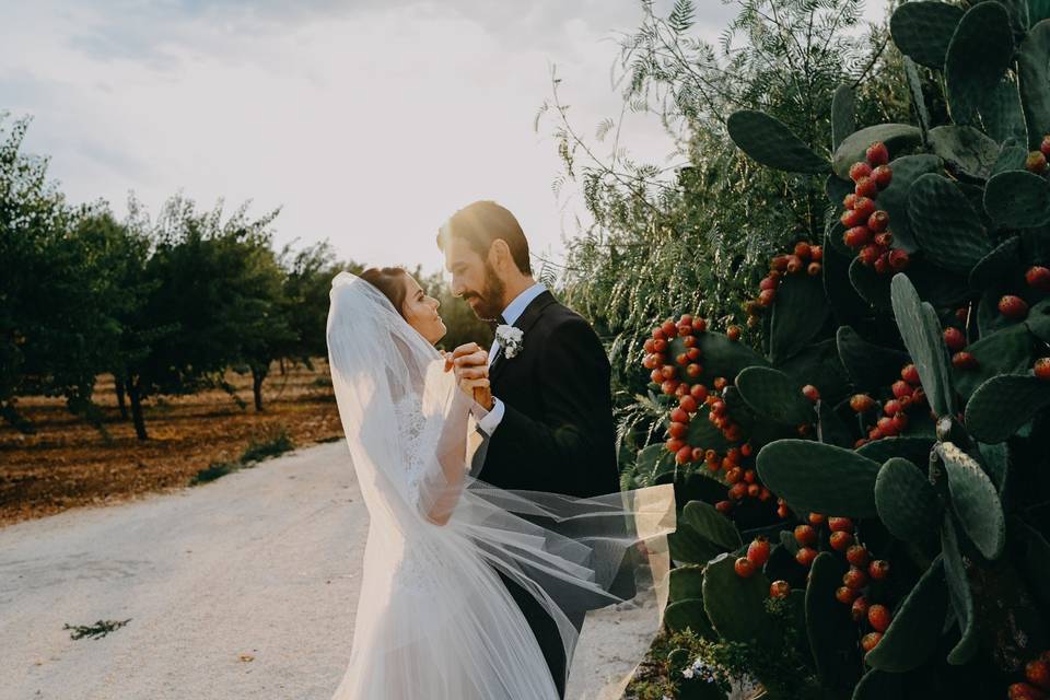 Amato fotografia