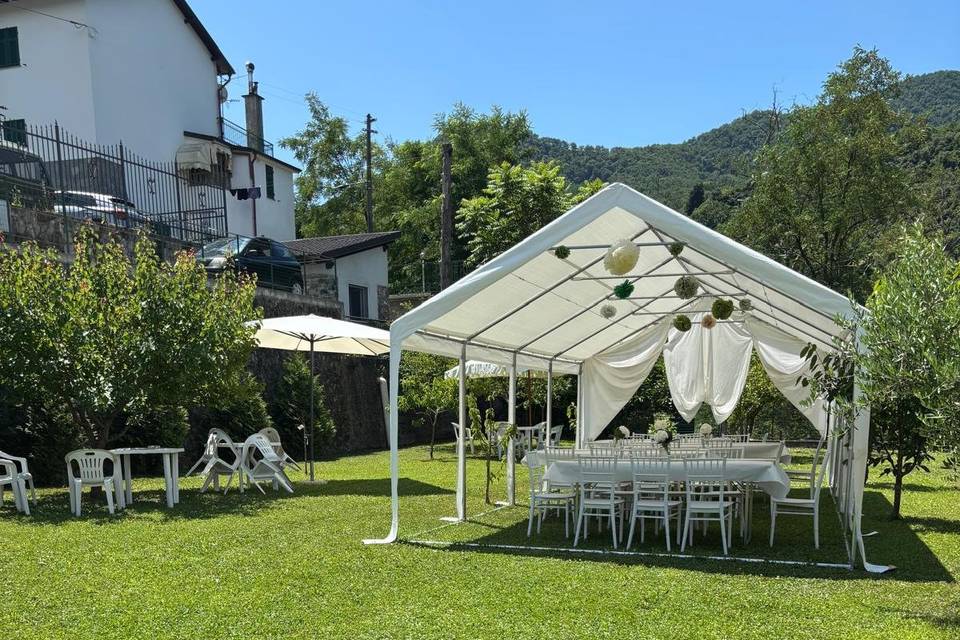 Allestimento frutteto