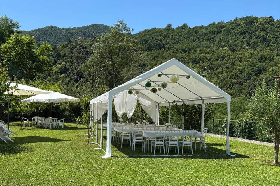 Allestimento frutteto