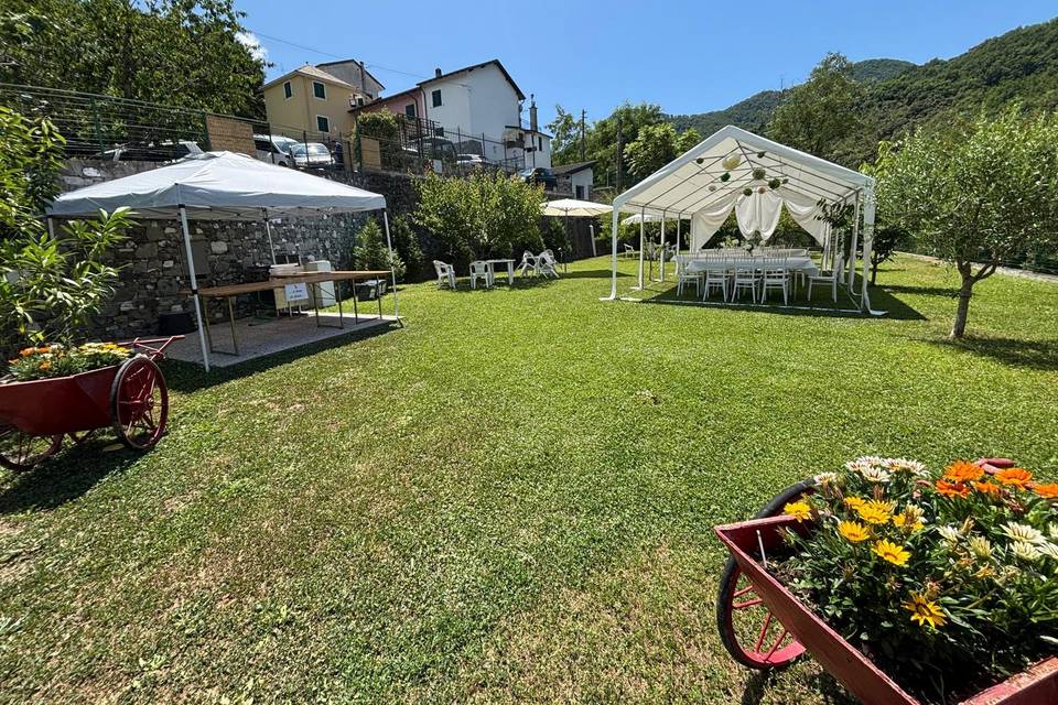 Allestimento frutteto