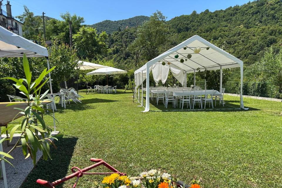 Allestimento frutteto