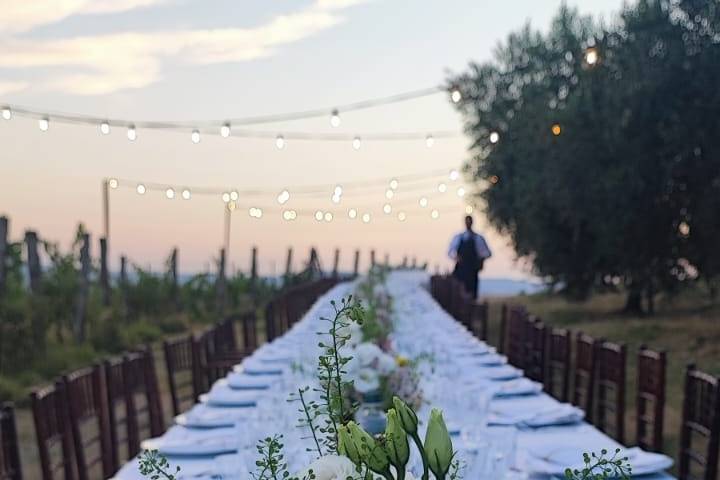 Mise en place nel vigneto