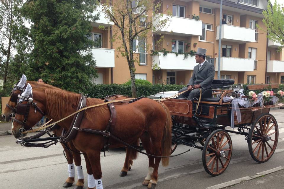 Carrozza