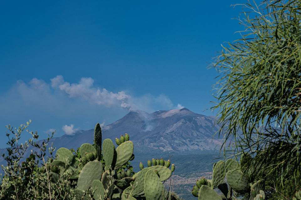 Etna view