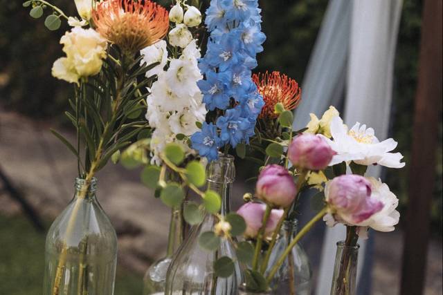 Fiori in vaso