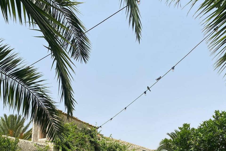 Giardino